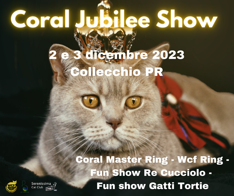 386843035_354552387144557_2093375203716172263_n locandina esposizione